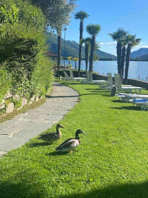Holiday On The Lake Lugano 2-16 Bissone Exterior photo